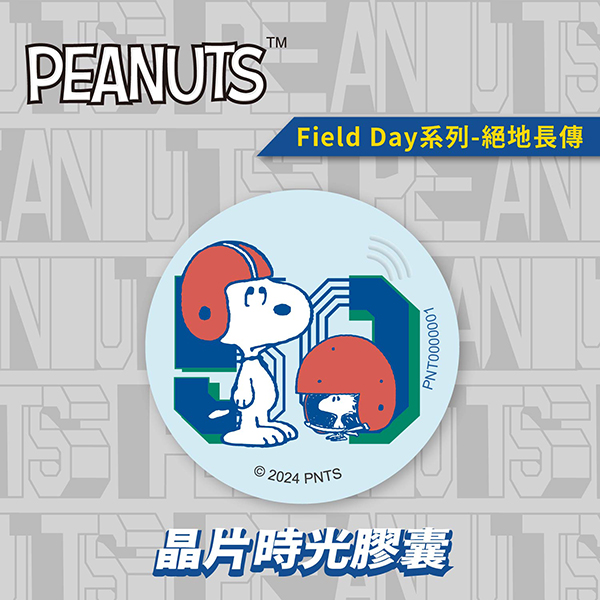 SNOOPY Field Day Chip Time Capsule - Hail Mary Pass