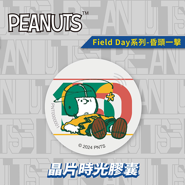 SNOOPY Field Day Chip Time Capsule - Knocked Out
